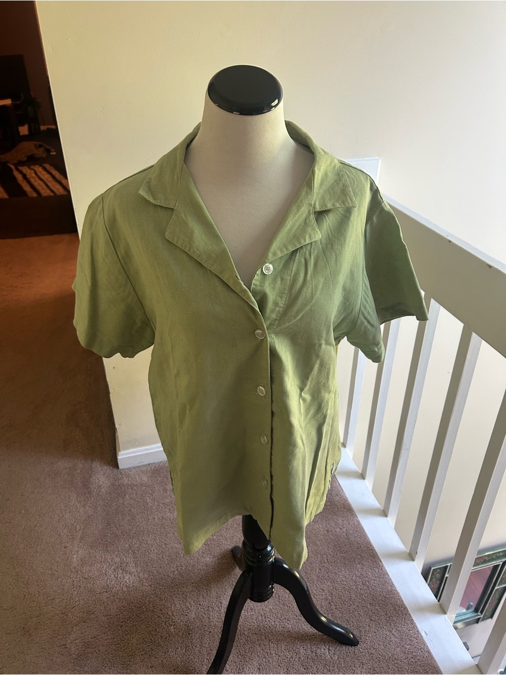 Big Bud Press Light Olive Green Pantry Button-Up Shirt